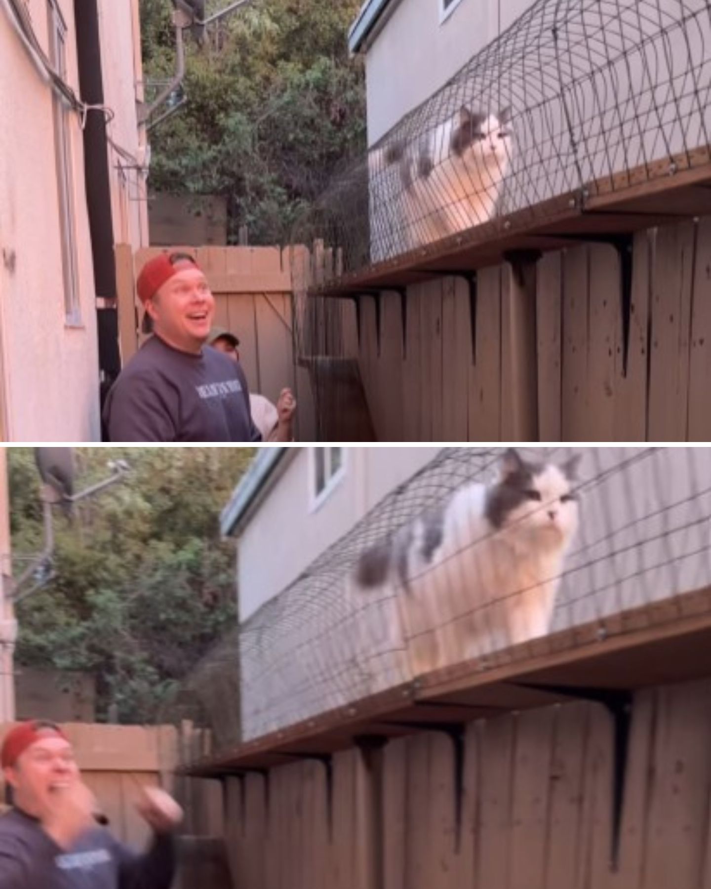 happy man and cat next to the catwalk construction