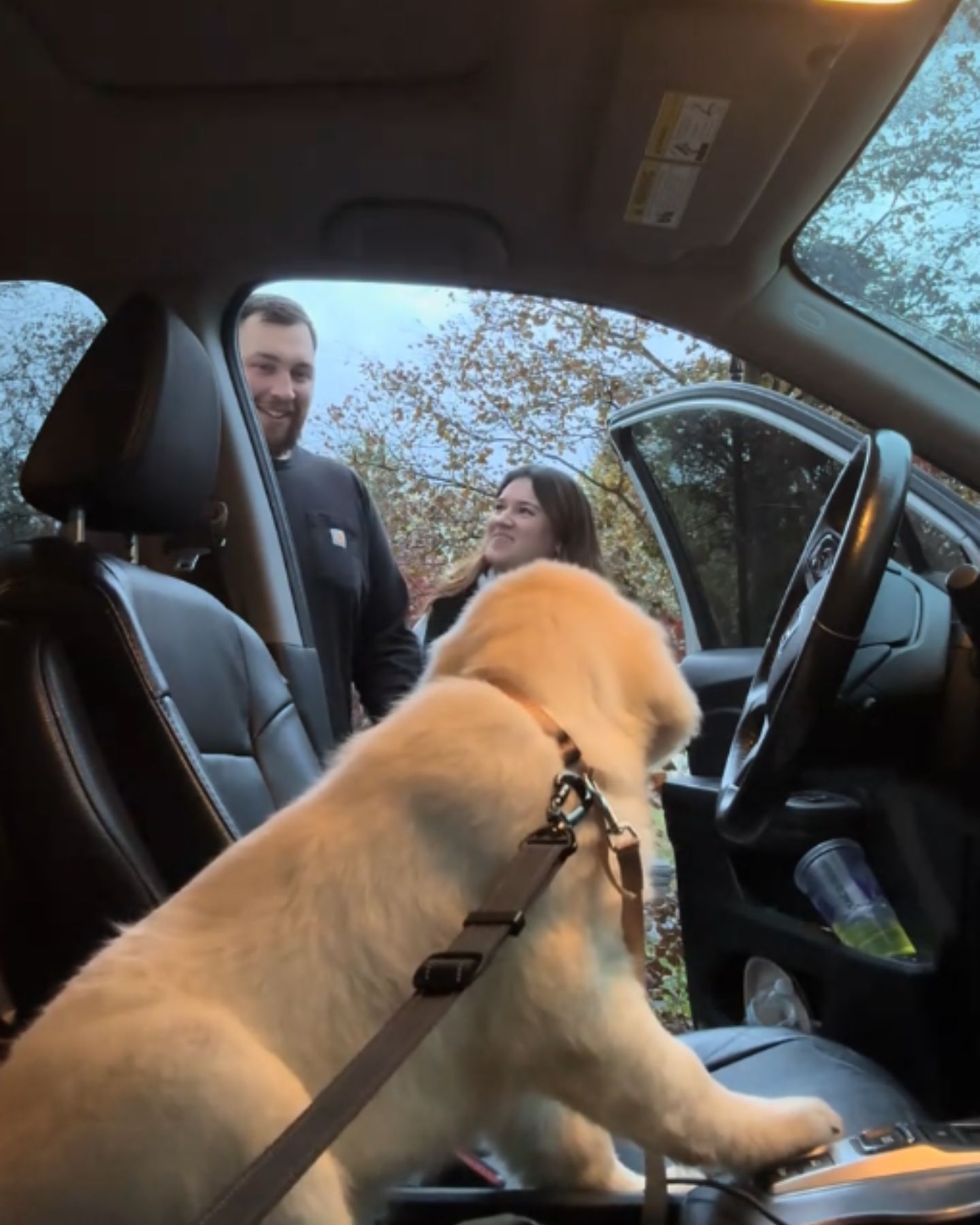 happy man and woman because of the dog