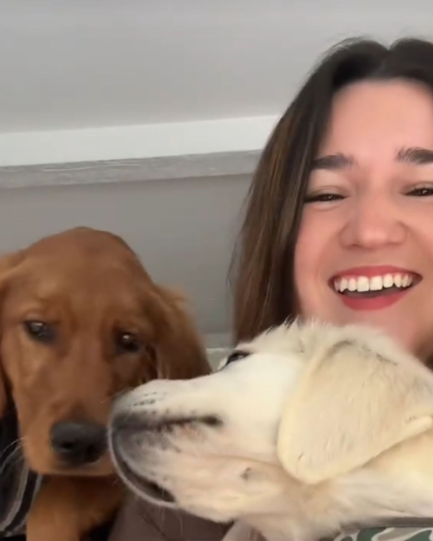 happy wife and two dogs