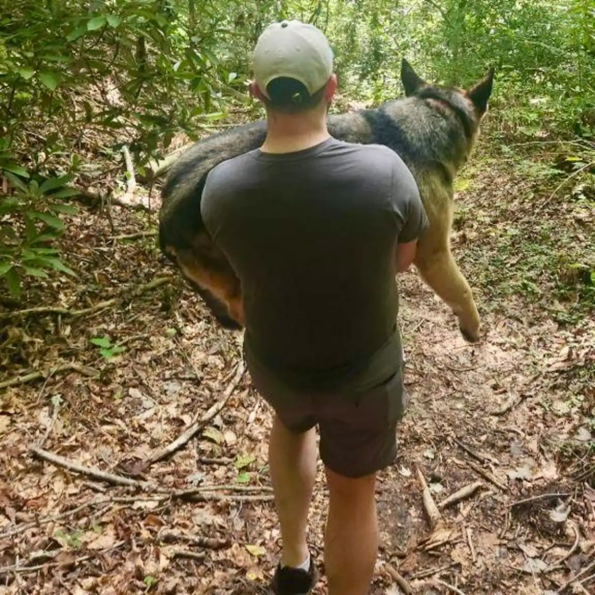 hiker carries dog in forest