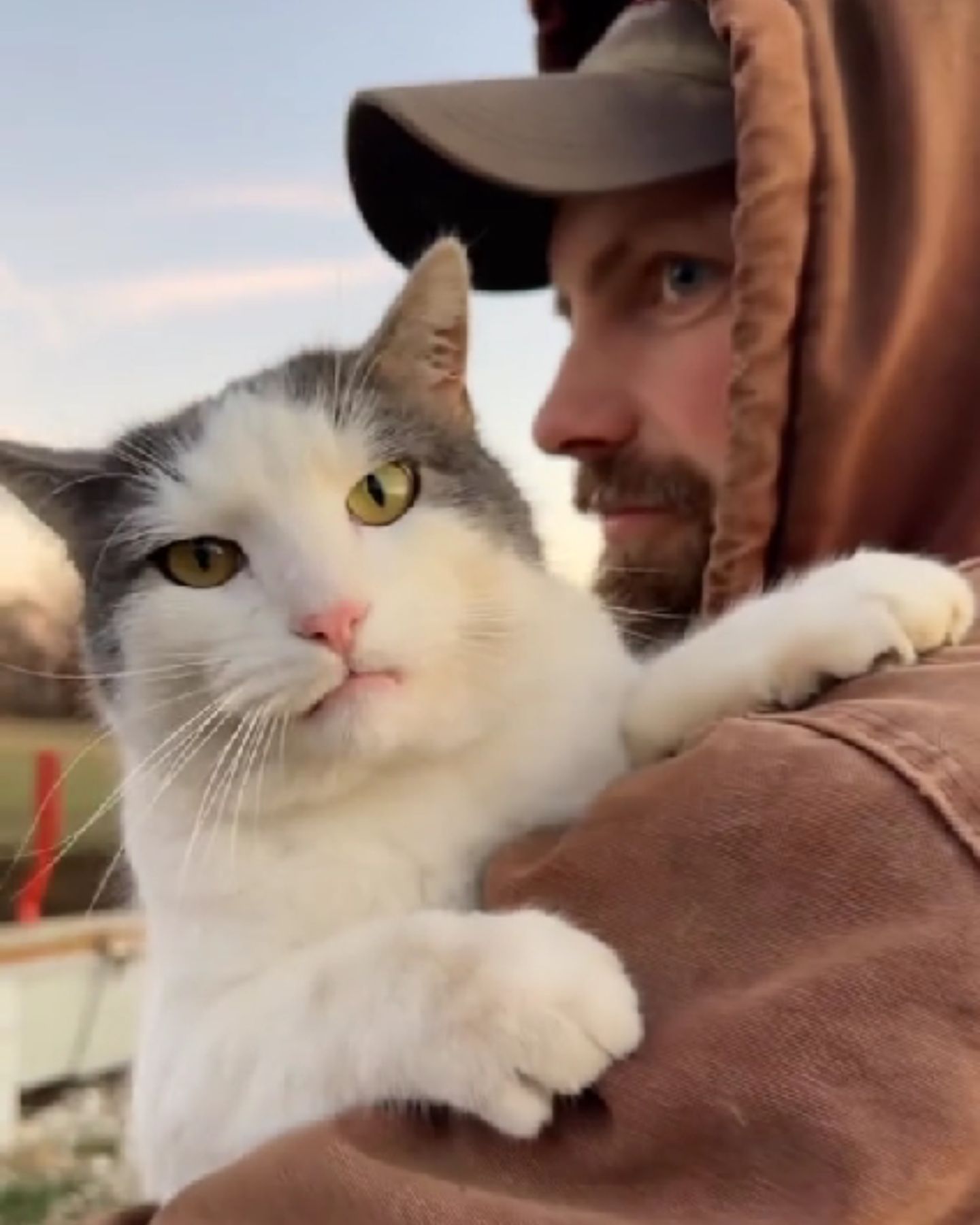 man and cat on farm