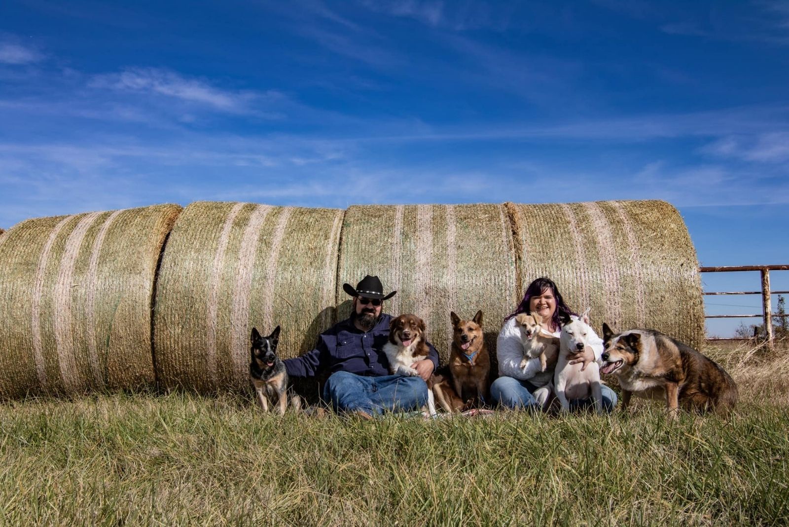 man and woman with lots of dogs