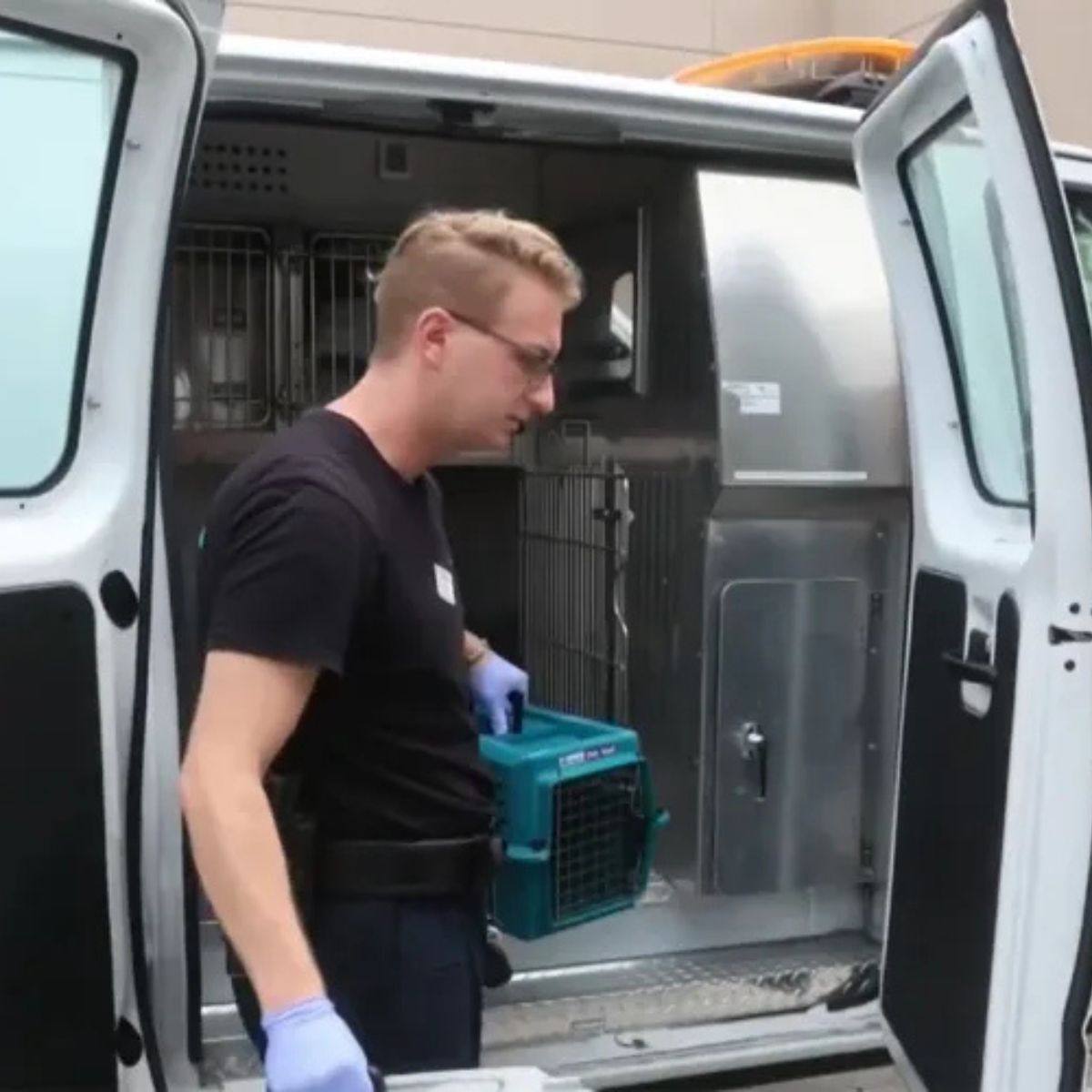 man brings out the transporters