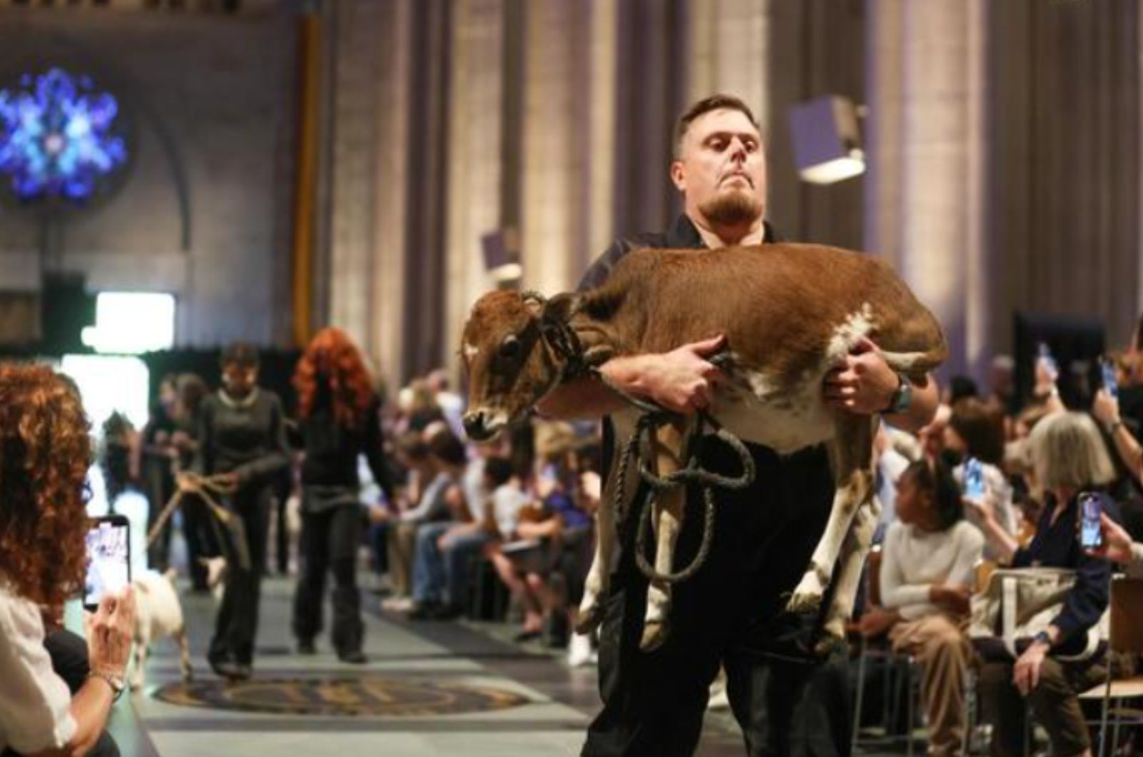 man carries an animal to an animals event