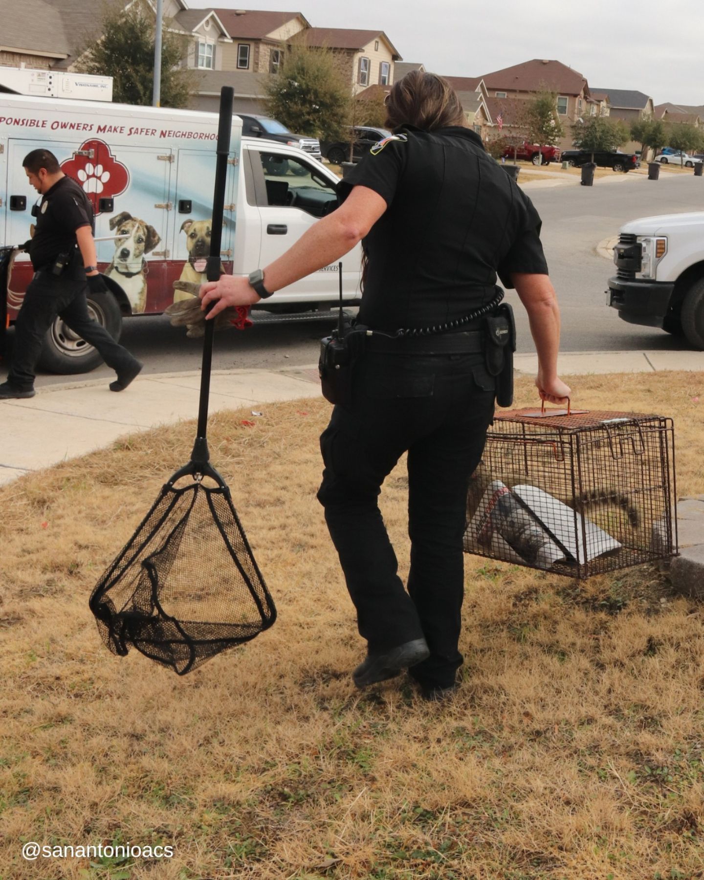 man carries cage containing coati