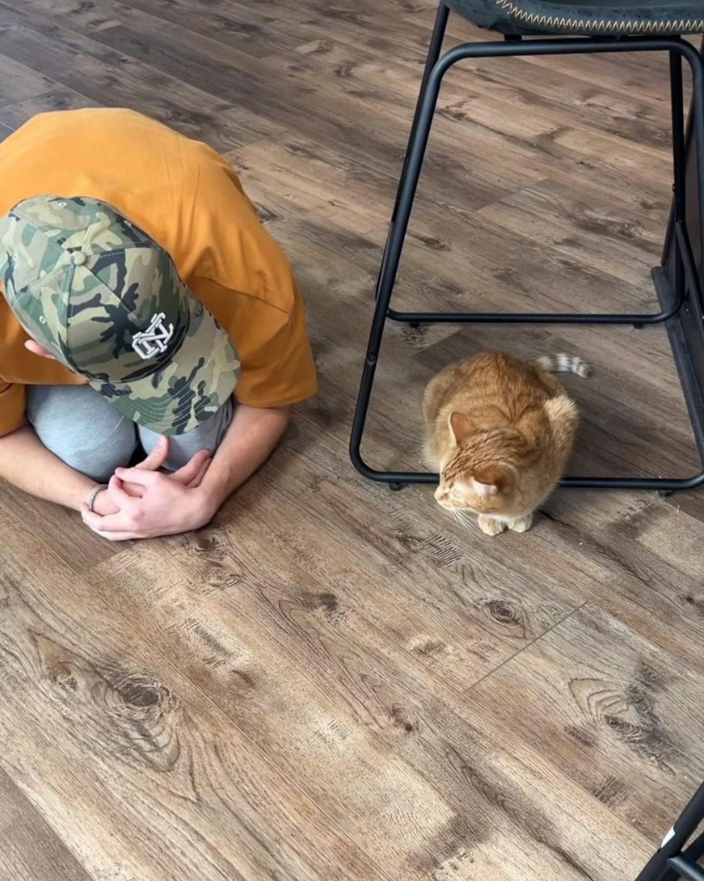 man imitates cat next to him