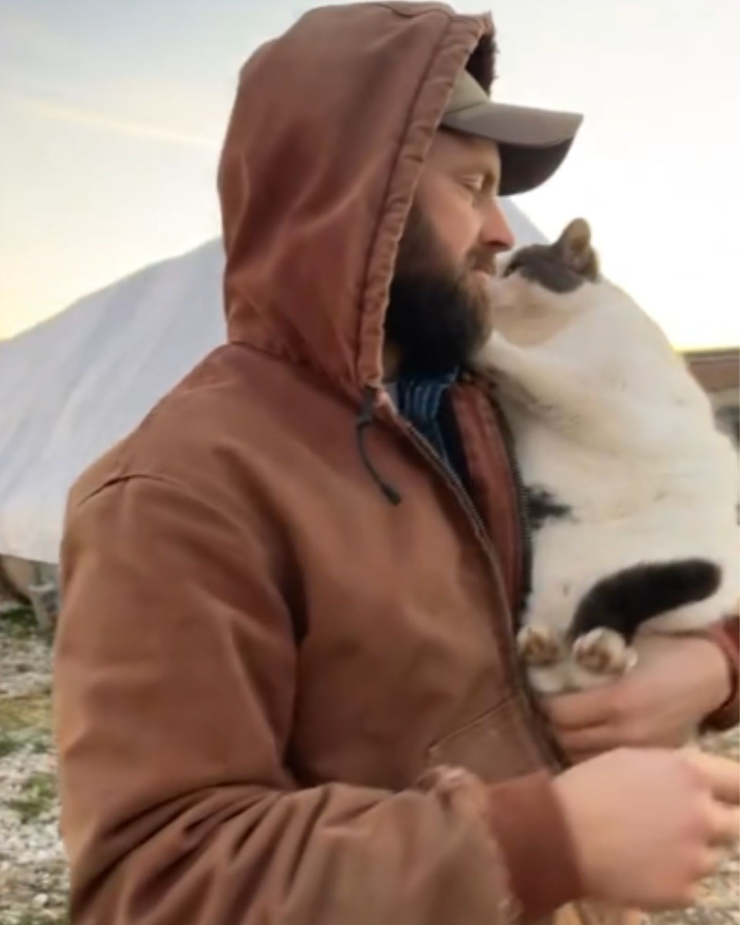 man kissing cat on farm