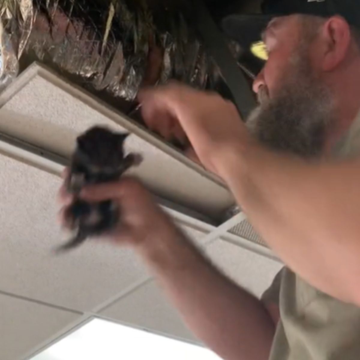 man rescues kitten from ventilation