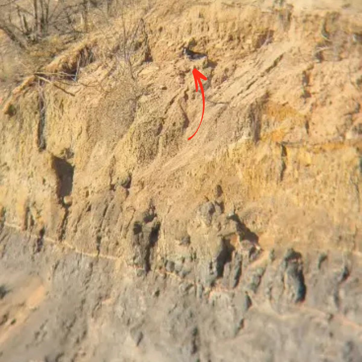 man sees strange shape on a cliff