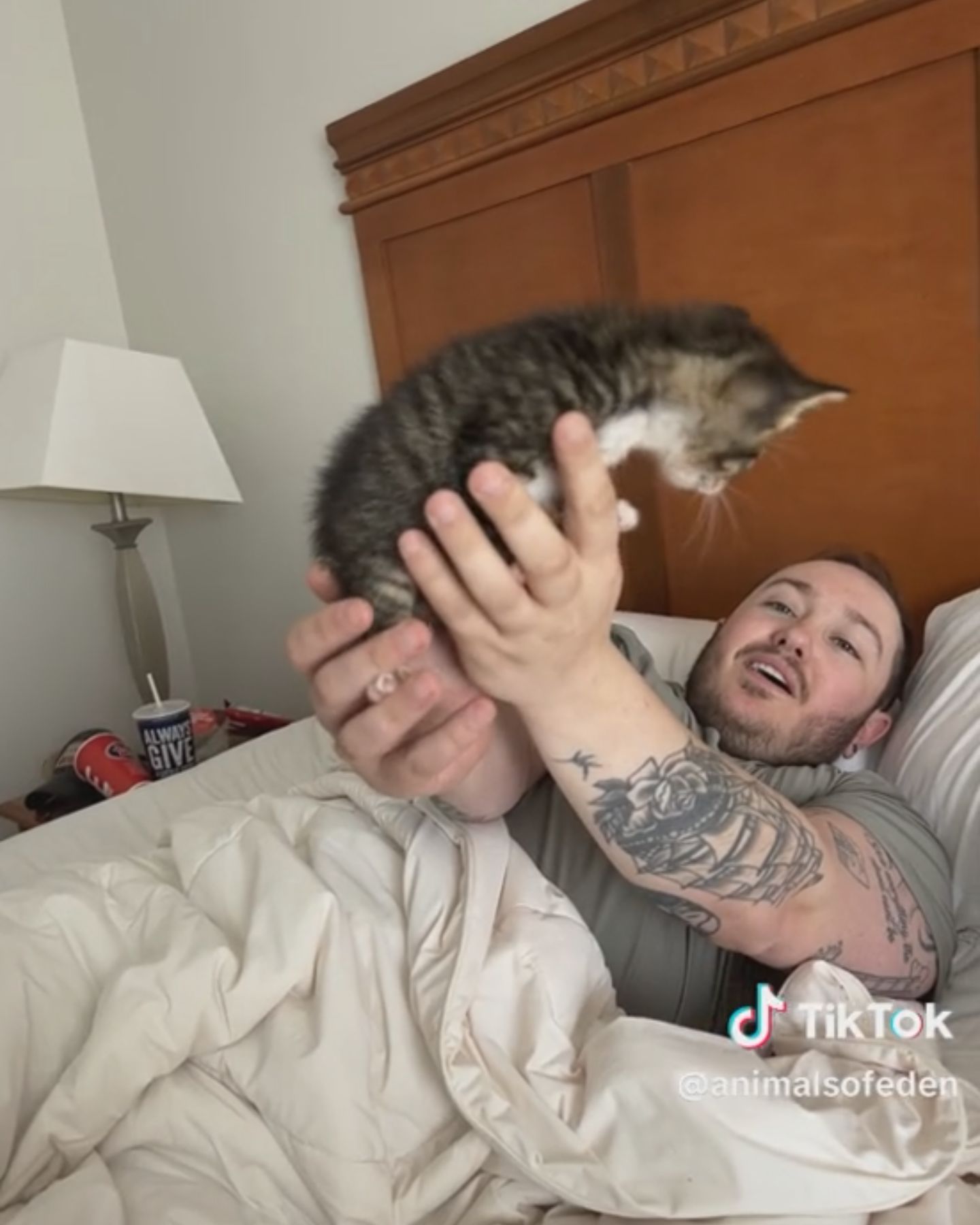 man with a kitten in bed