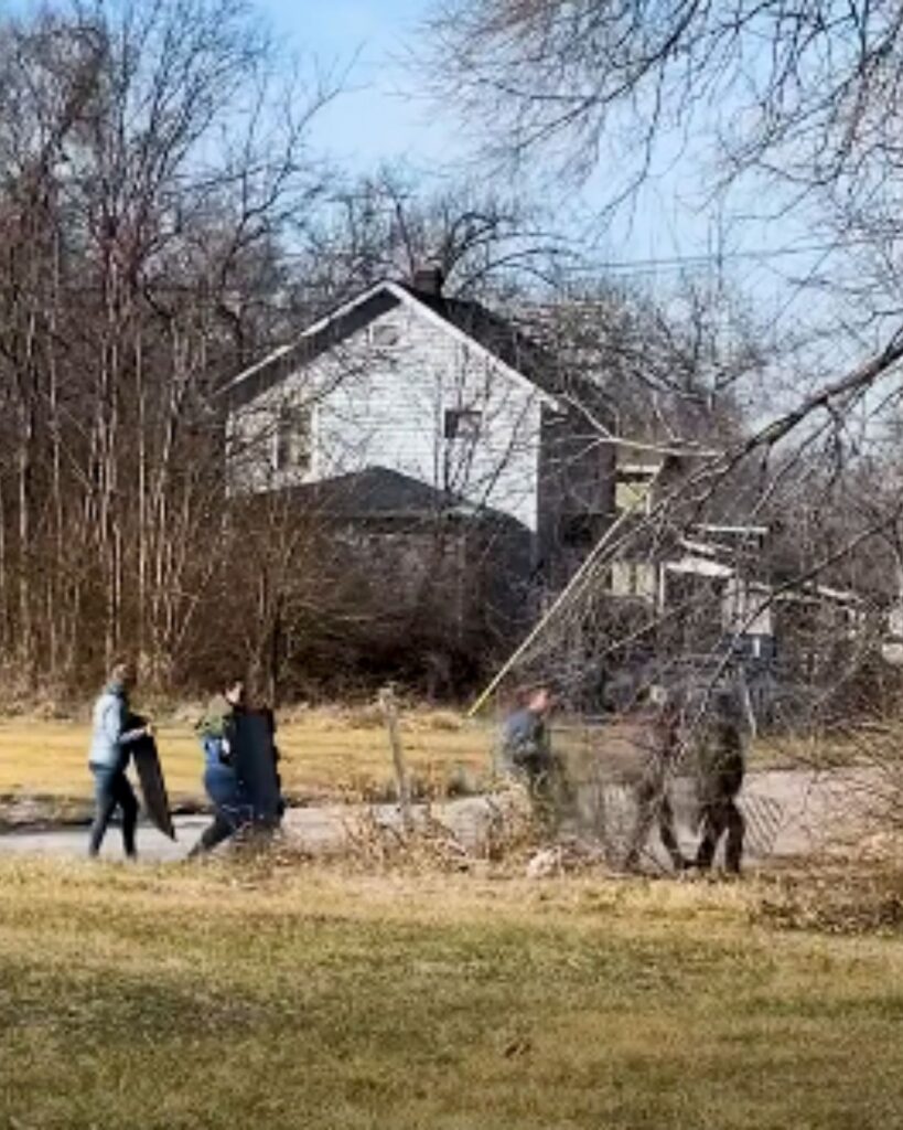 men are removing a tree