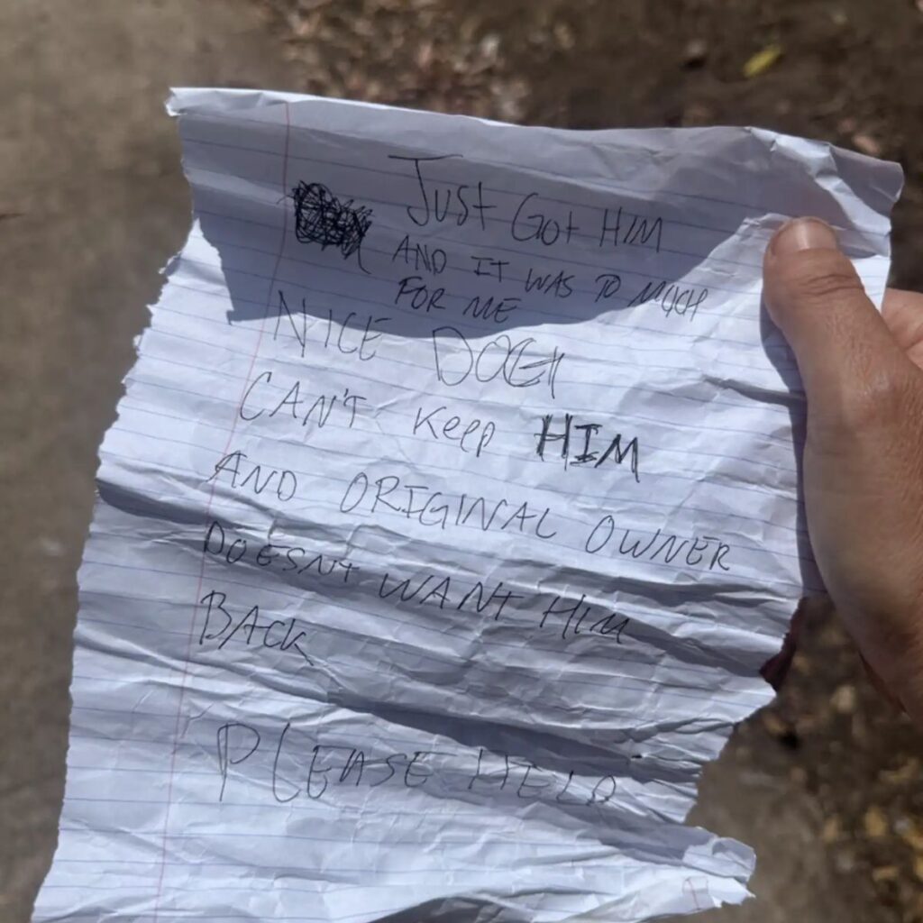 message about an abandoned dog