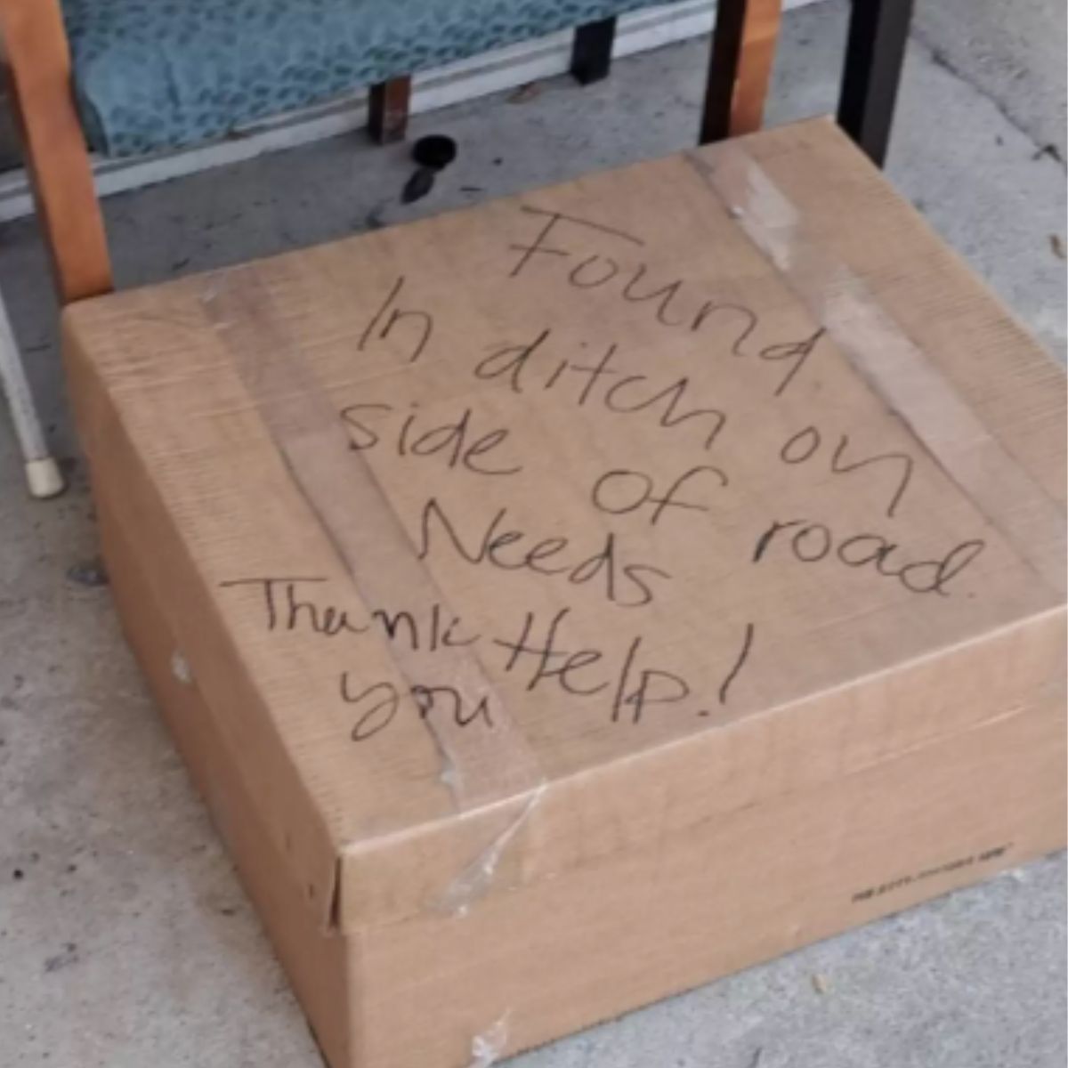 message on the cardboard box