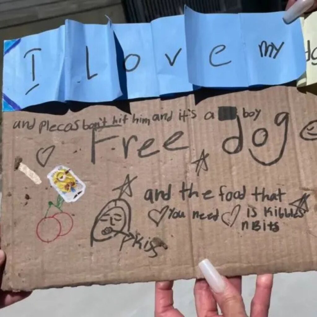 message written on cardboard