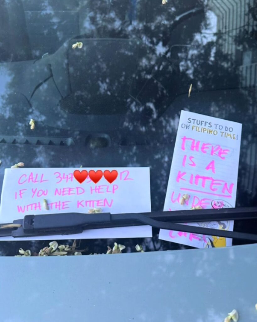 messages left on erasers