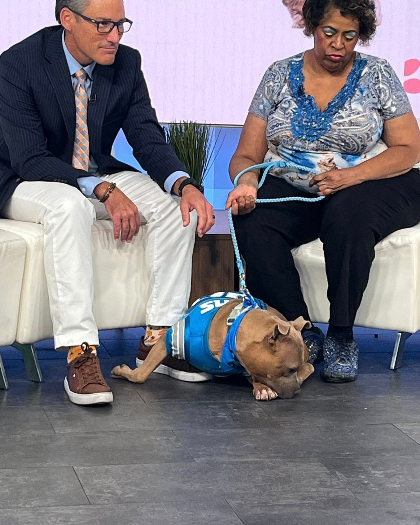 neglected pup with family