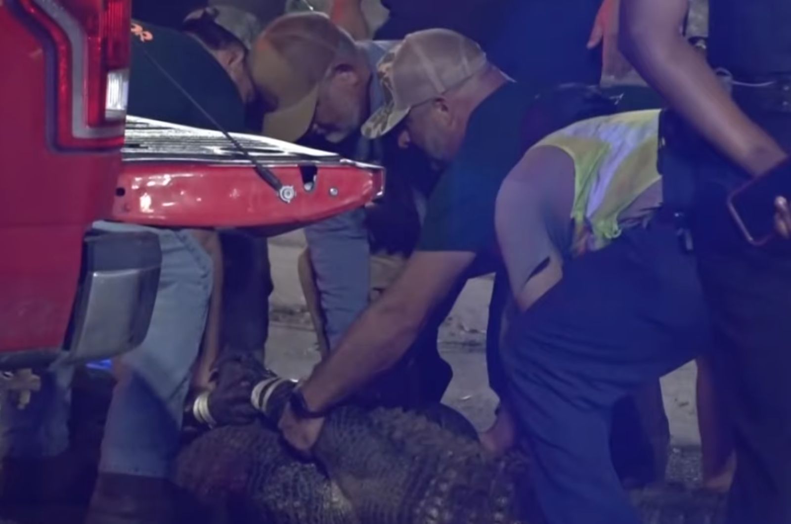 people around giant gator