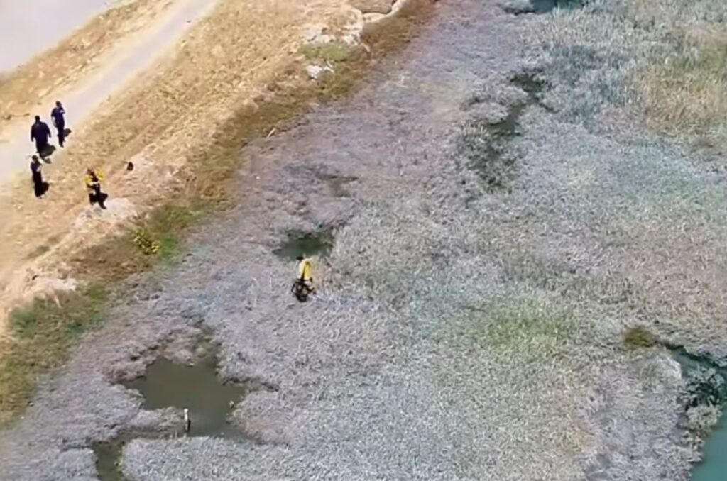 people came together to save the dog