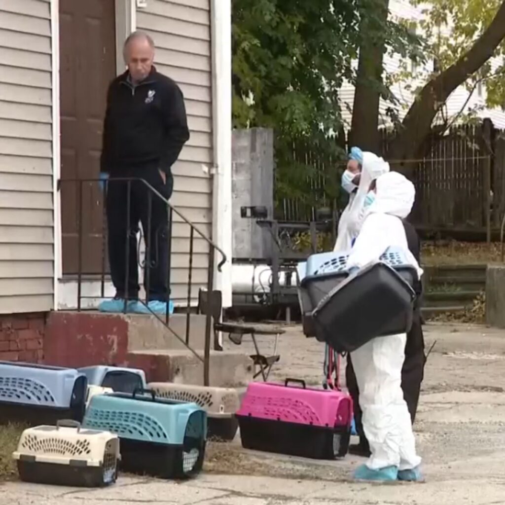 people in departments in front of the house