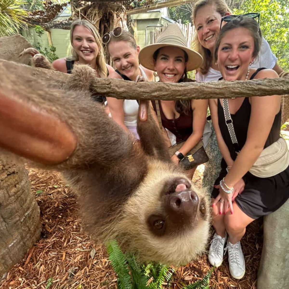 people taking pictures at the zoo