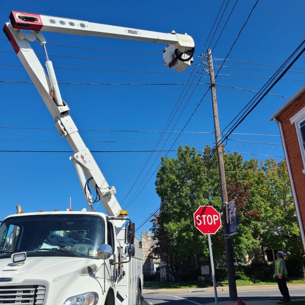 people with a basket rescue a cat from a ladder
