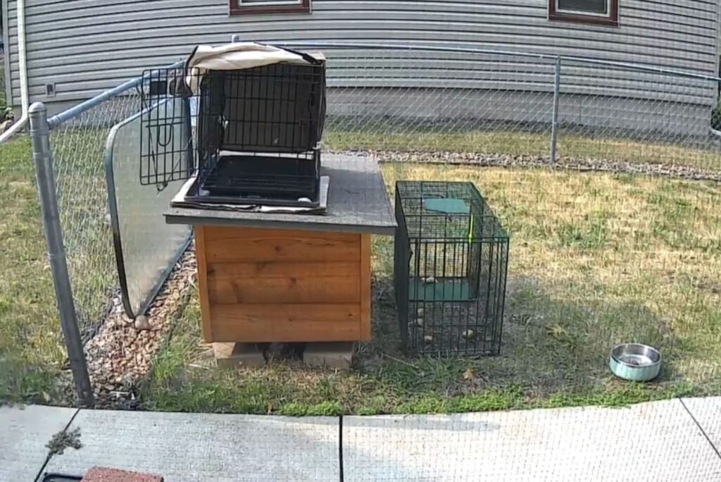 picture of a yard with cages