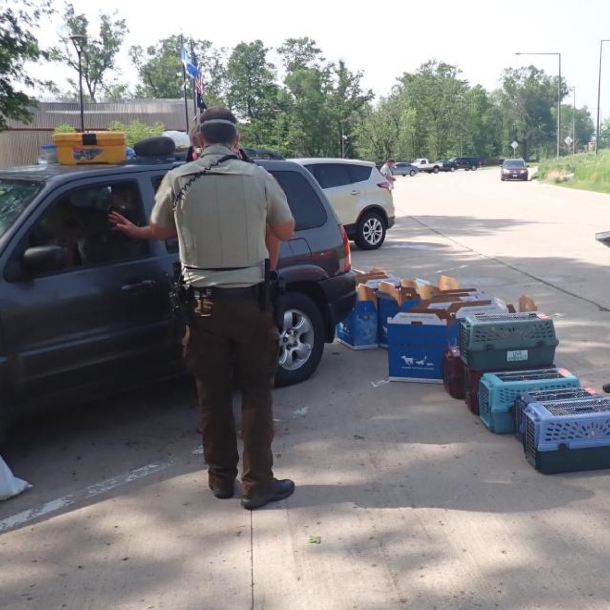 policeman checks the car with the cats