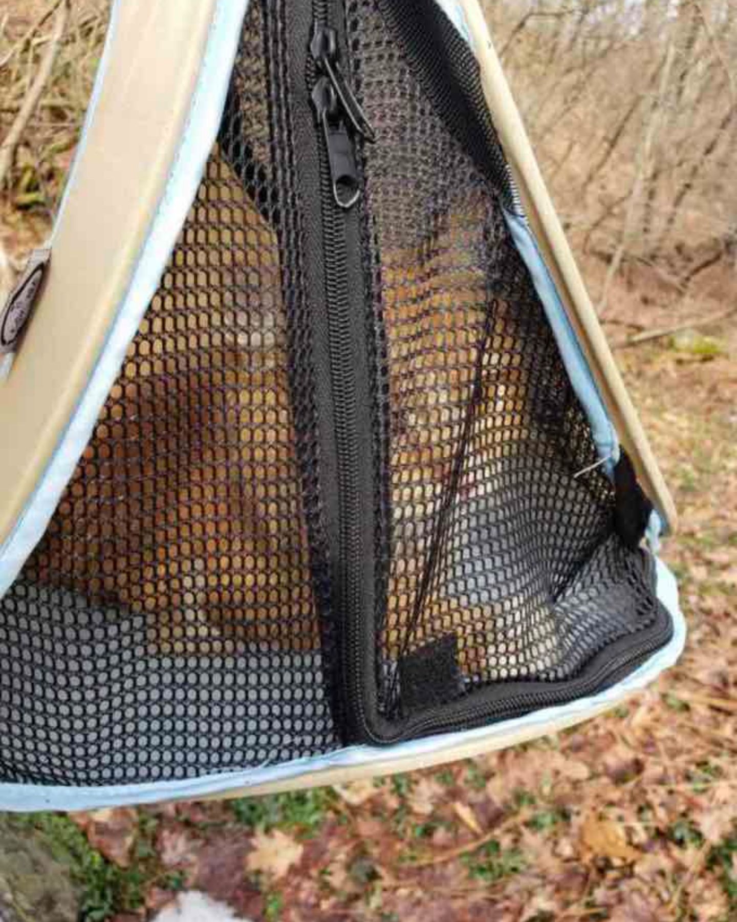 poor cat in a pet carrier