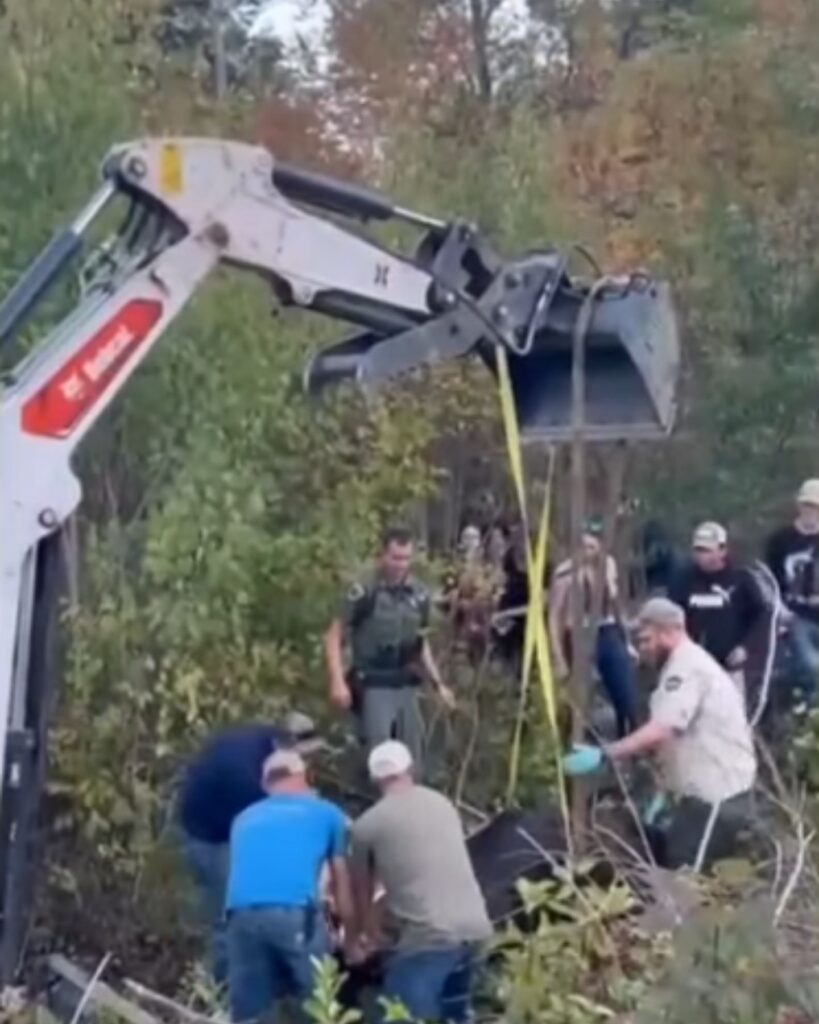 pulling a moose out of a bag