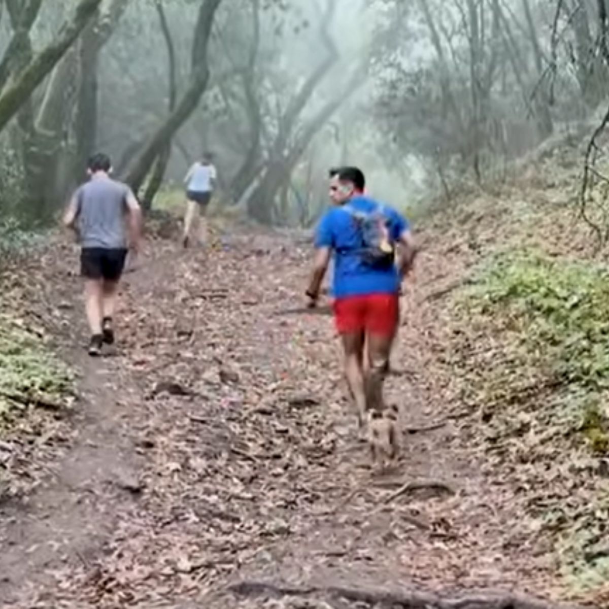 rescue dog runs marathons