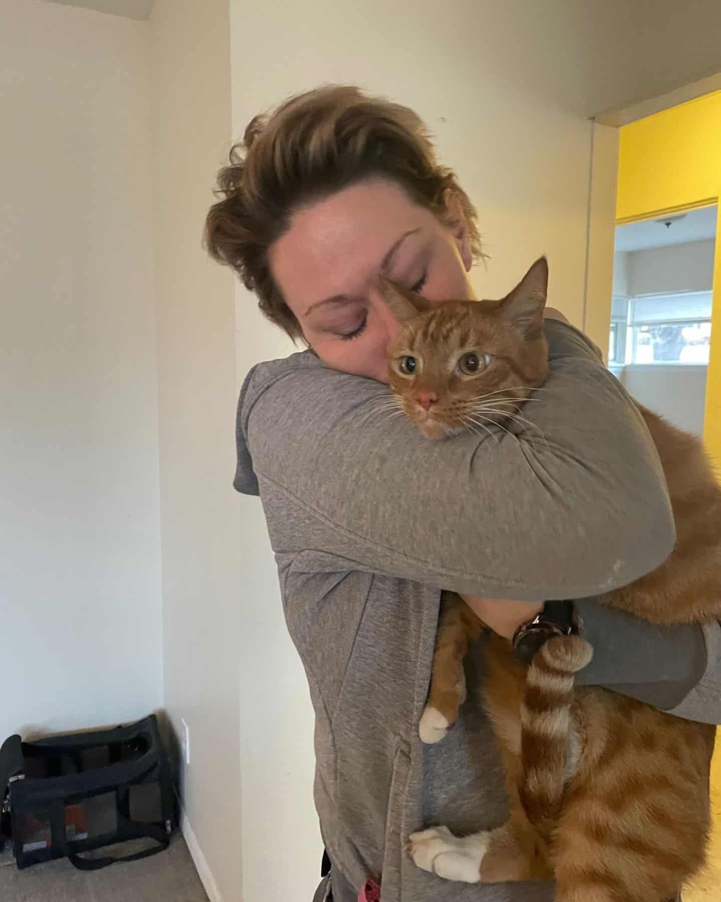 rescued ginger cat in the arms of a woman