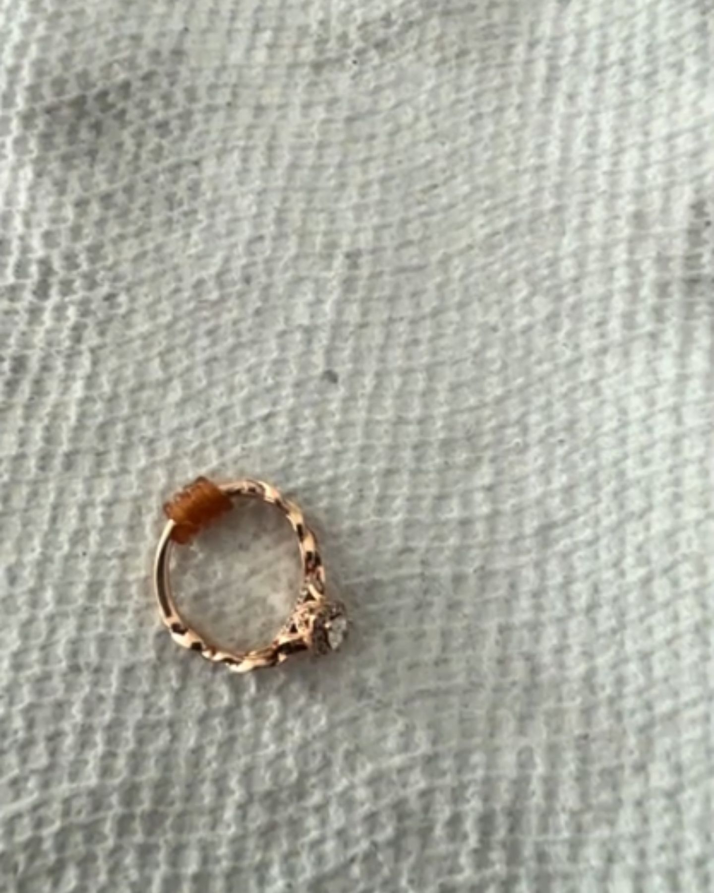 ring taken from a dog