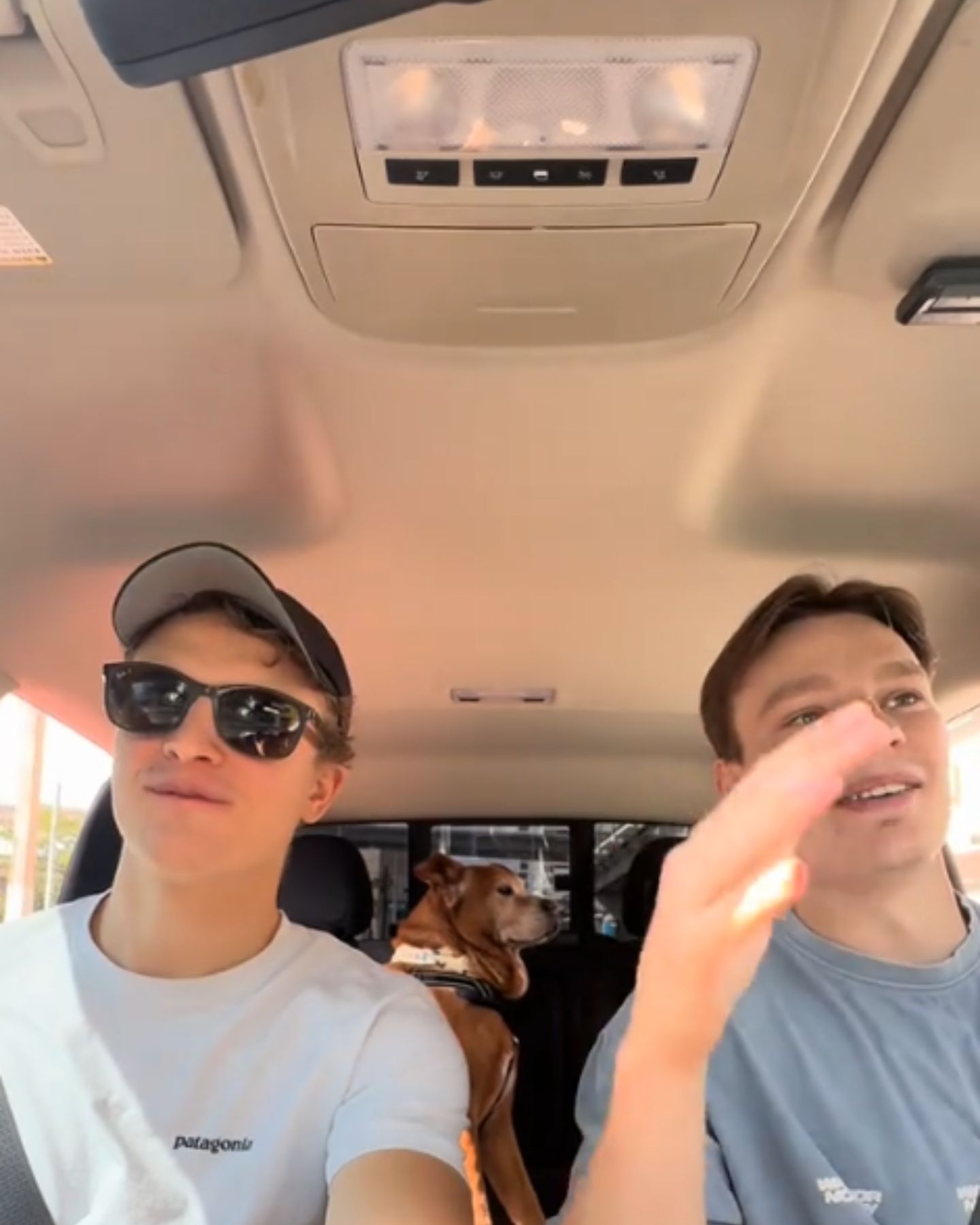 senior shelter dog adopted