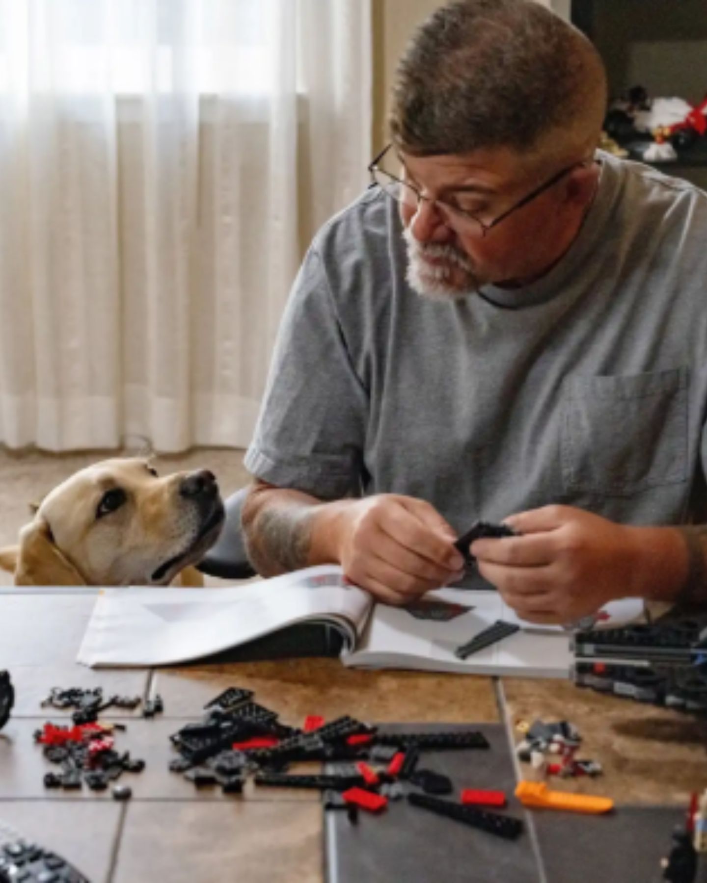 service dog and man together in the house