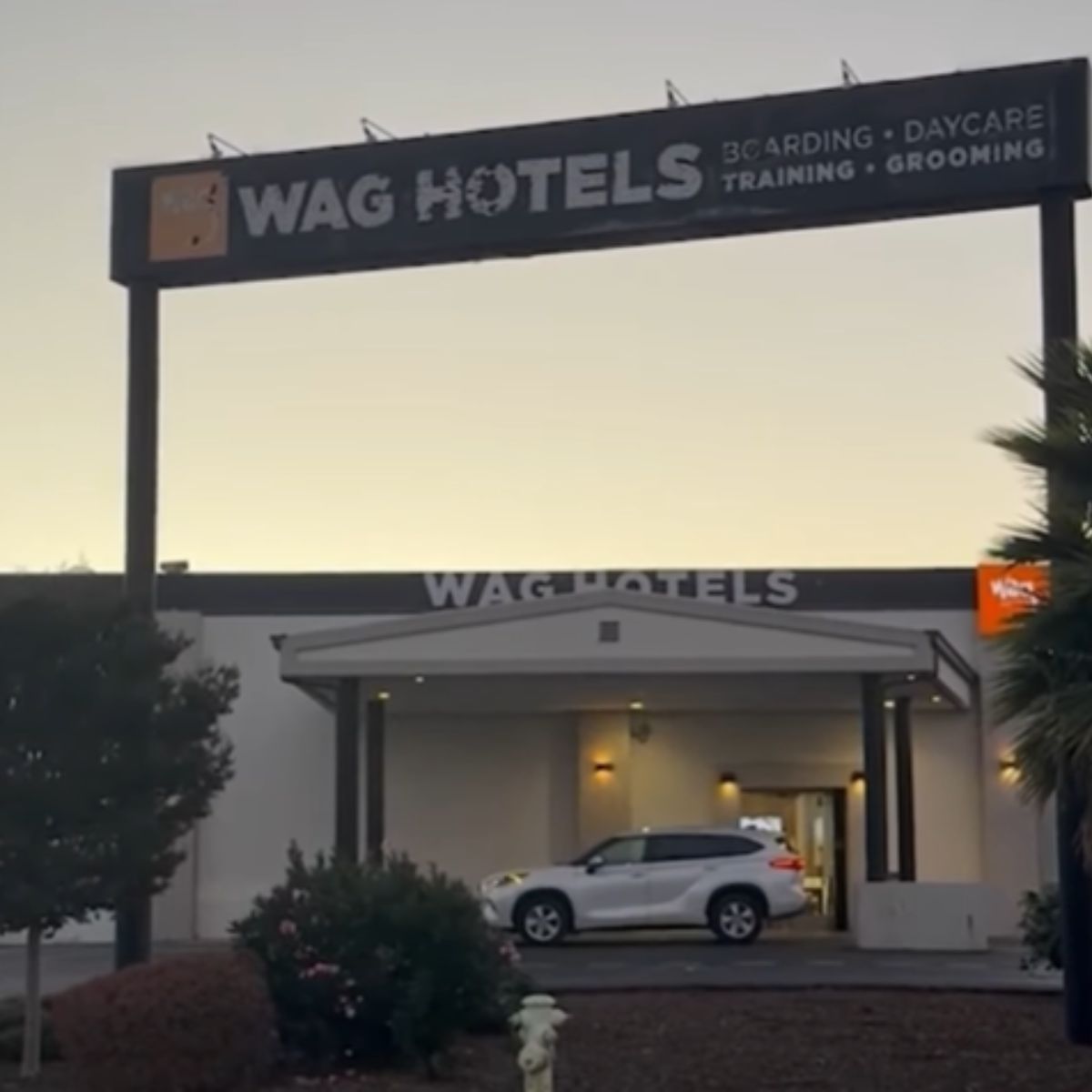 sign wag hotel