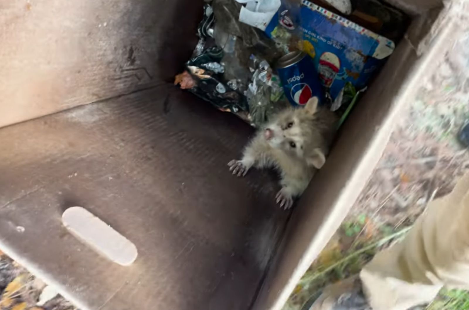 someone rare in trash bin