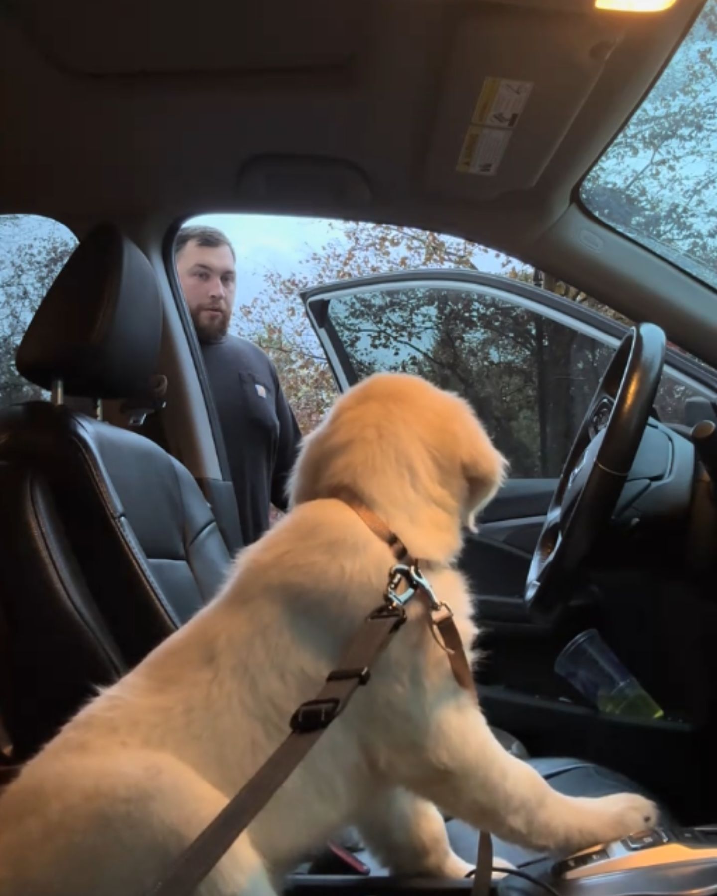 surprised man sees a dog in a car