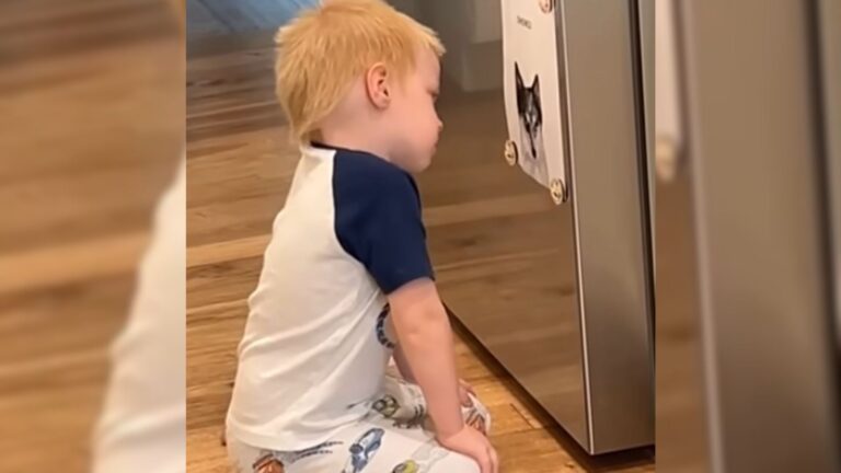 Illinois Mom Captures Her Little Boy Grieving His Beloved Pet, And Hearts Break Everywhere