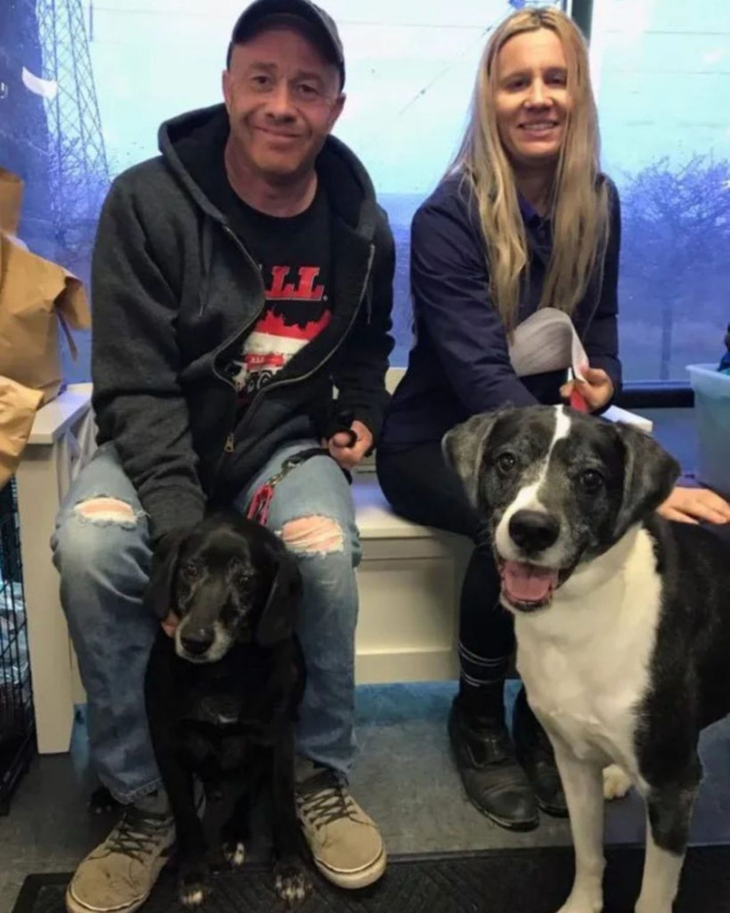 two dogs with family