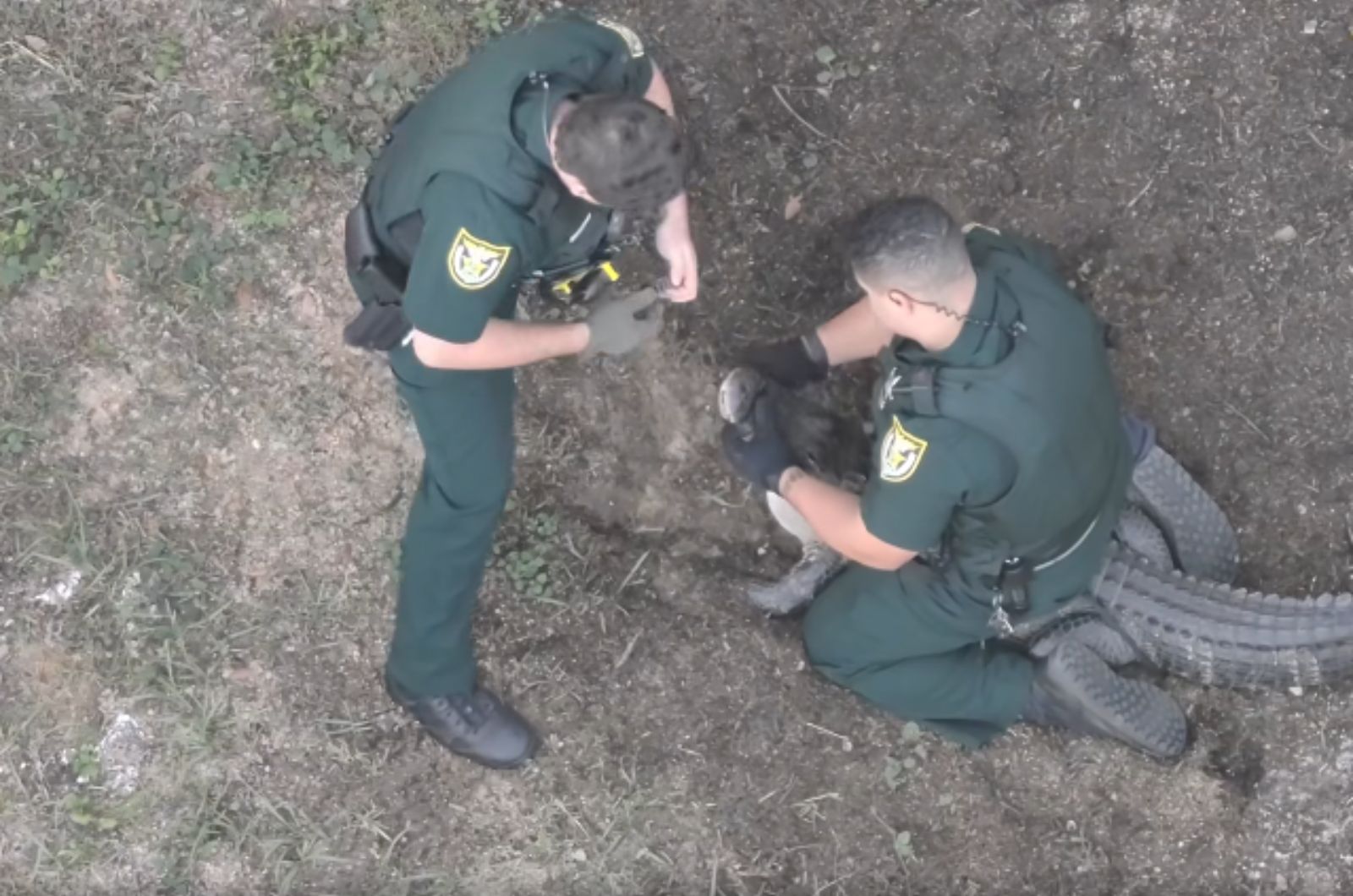 two policemen and alligator