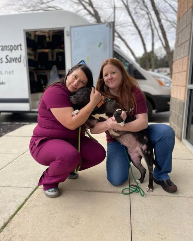 two veterinarians hugging a dog