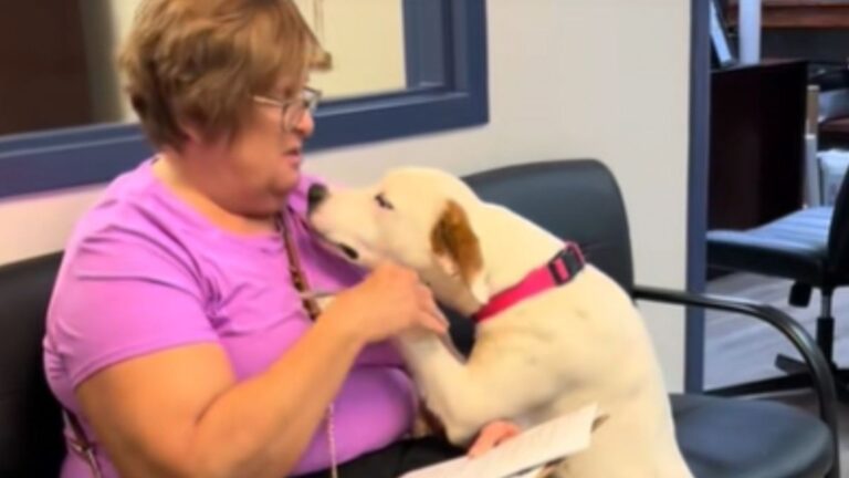 Woman Signs Adoption Papers At Florida Shelter, Now Watch The Dog’s Reaction