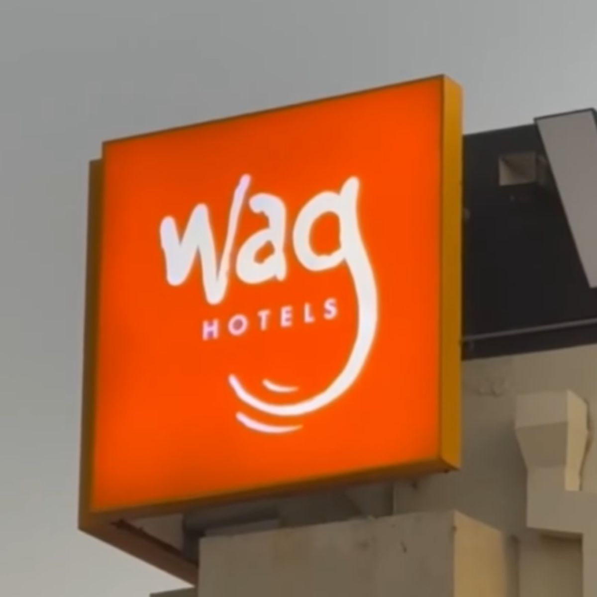 wag hotel
