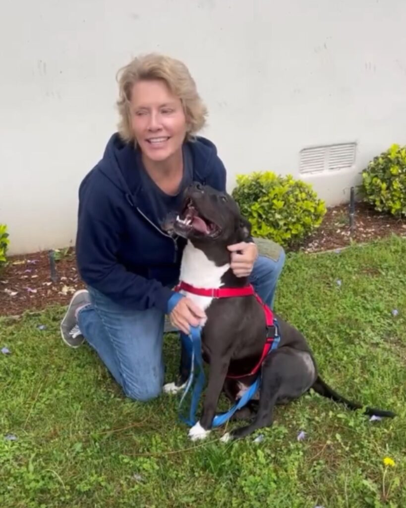 woman hugging a happy dog