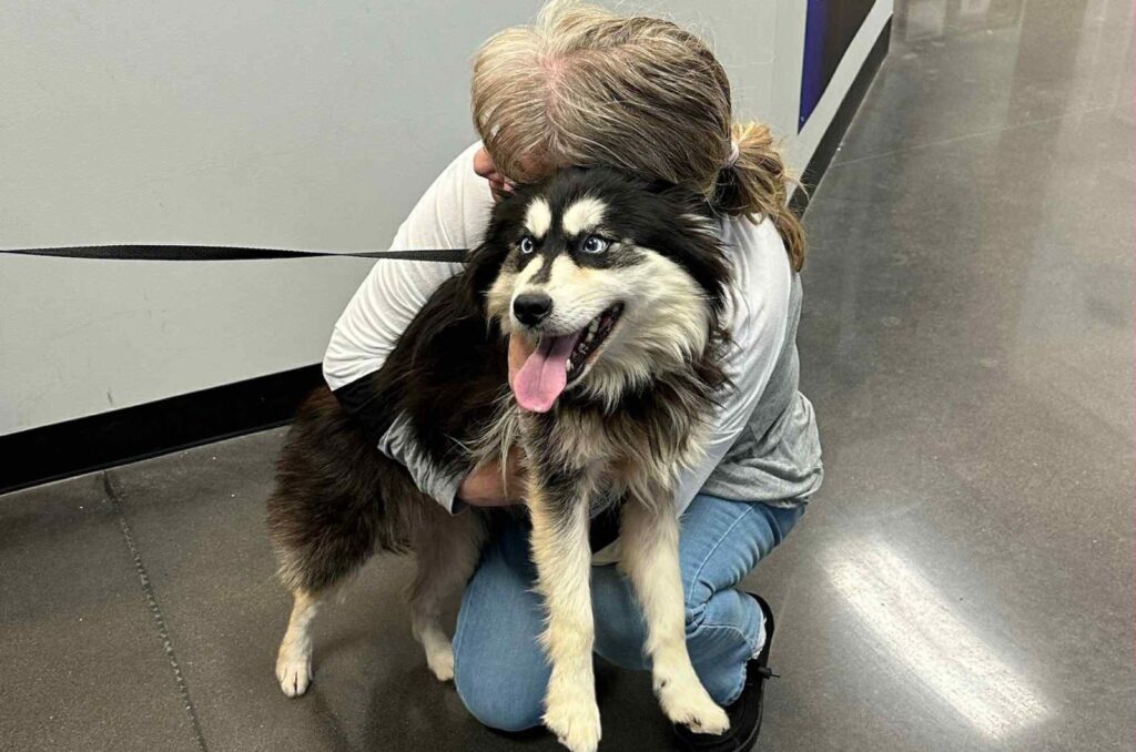 woman hugging a rescued dog