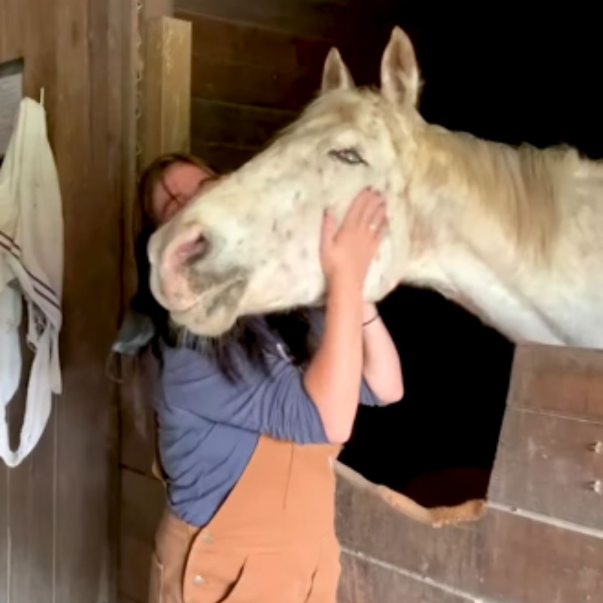 woman kisses a blind horse