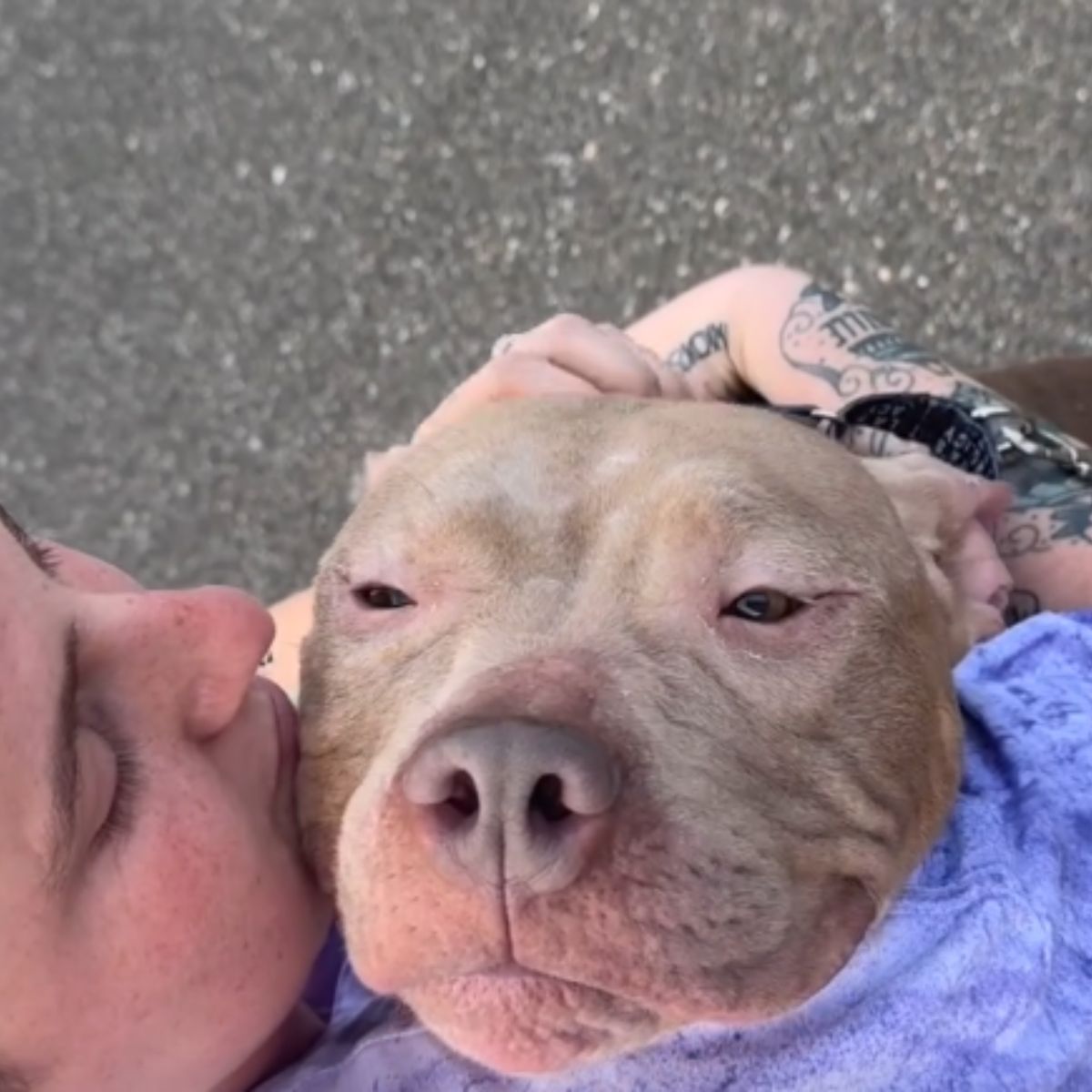 woman kisses senior dog