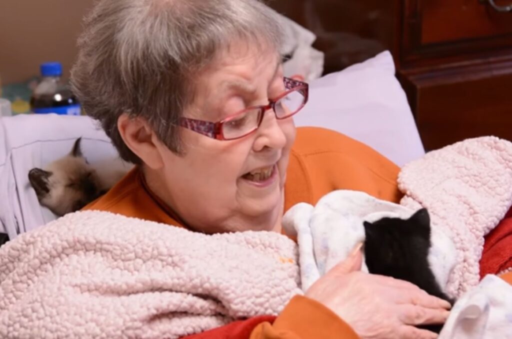 woman petting black kitten