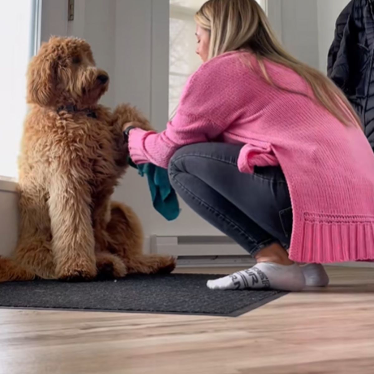 woman with a brown dog