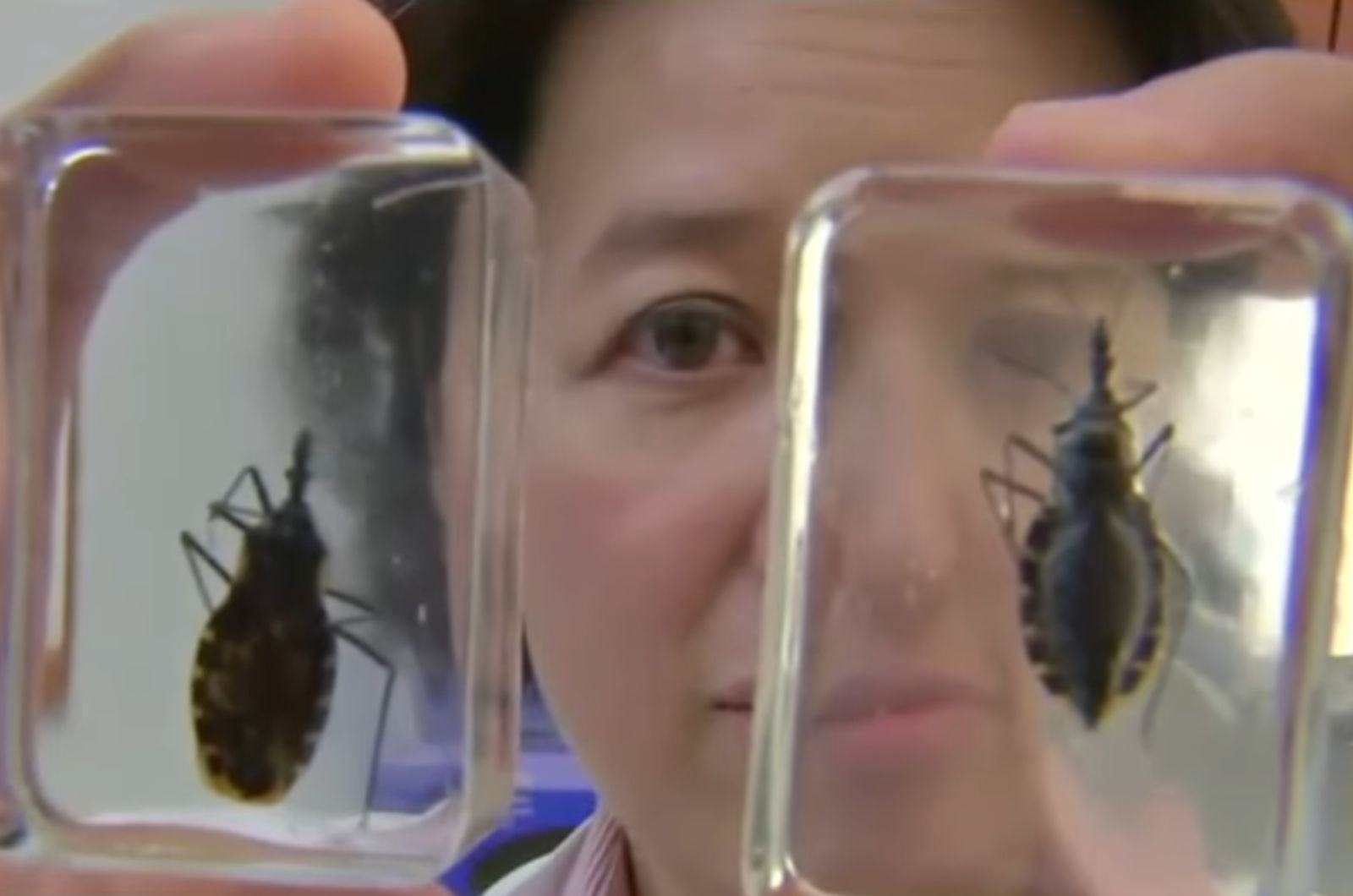 woman with two fatal kissing bugs